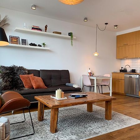 Laugavegur Penthouse Apartment Reykjavík Exterior foto